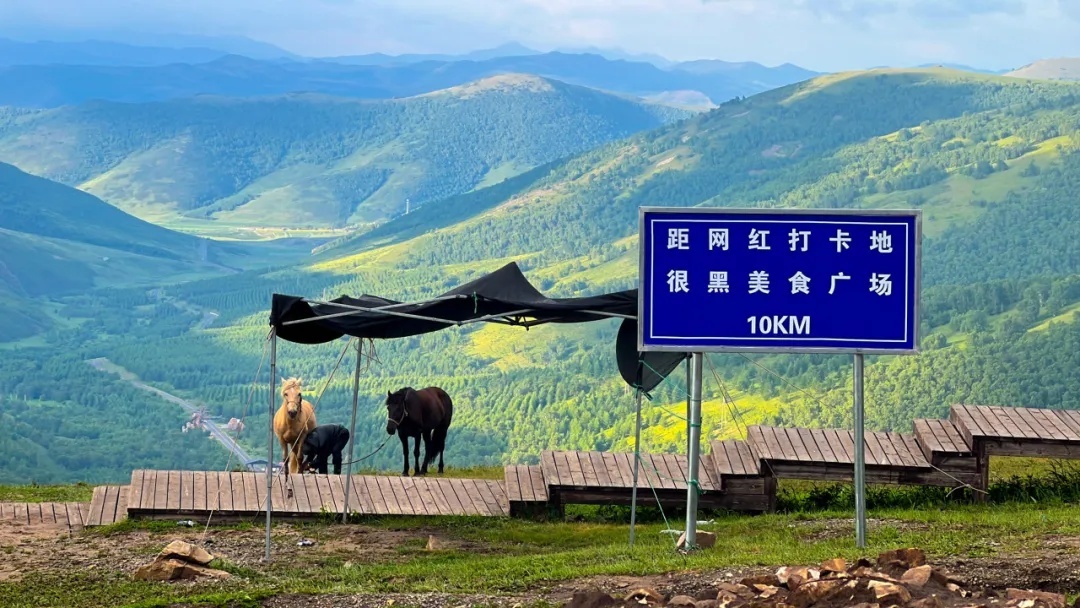 “很黑村”?网红村! “很黑村”?网红村!