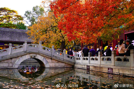 藏在香山红叶里的秋日氛围感