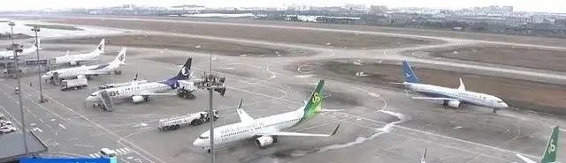 价格大跳水!网友:太香了 价格大跳水!网友:太香了