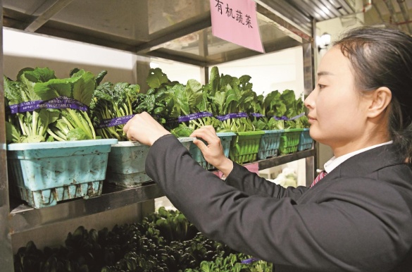 厉害了!青海多趟列车种上了蔬菜,可“现摘现炒” 厉害了!青海多趟列车种上了蔬菜,可“现摘现炒”