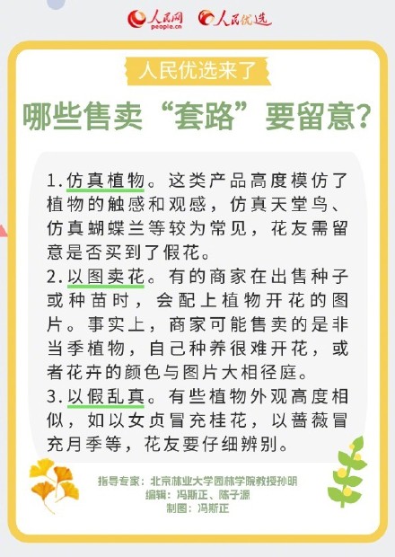 收藏！超实用室内花卉绿植选购攻略