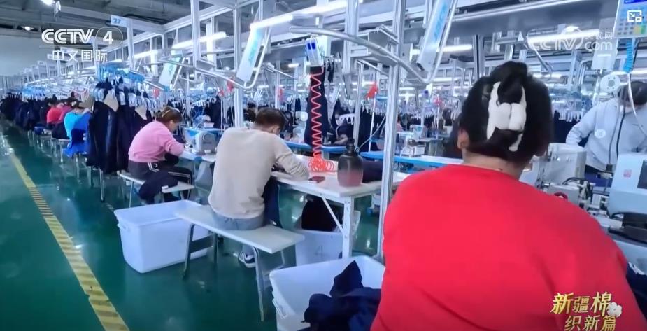 从田间到车间 一朵棉花“链”起金色产业