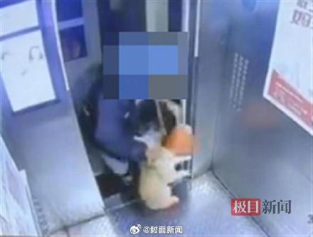 扔猫外卖员被平台拉黑清退