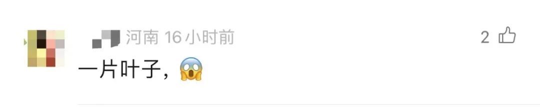 为什么广东人走路都躲着它? 为什么广东人走路都躲着它?