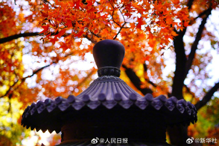 藏在香山红叶里的秋日氛围感