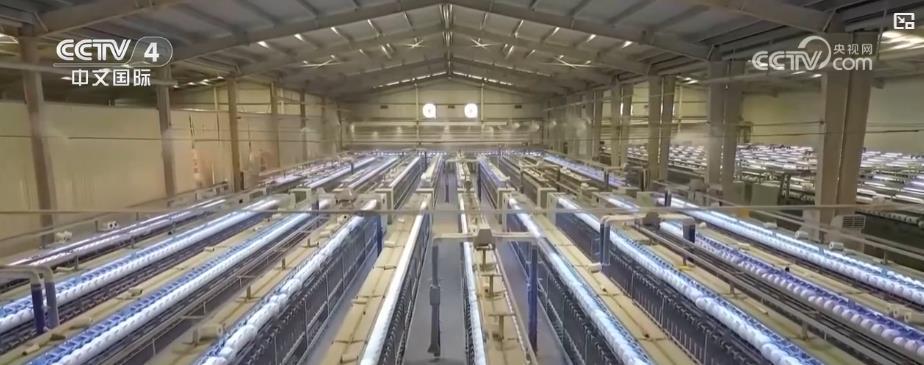 从田间到车间 一朵棉花“链”起金色产业