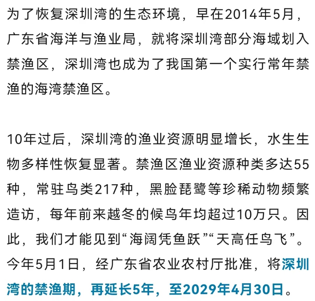 深圳湾现非法捕捞！执法部门发声！