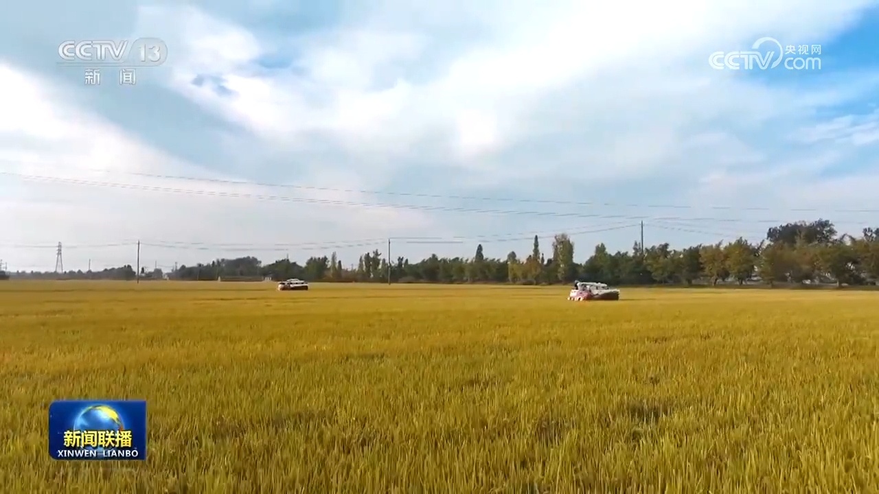 多领域高质量发展扎实推进 夯实中国经济向好硬支撑