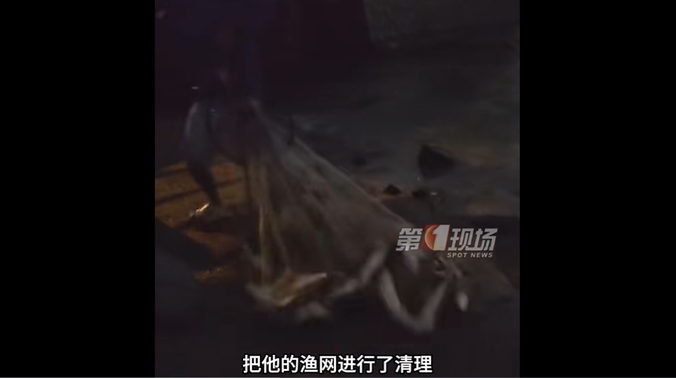 深圳湾现非法捕捞！执法部门发声！