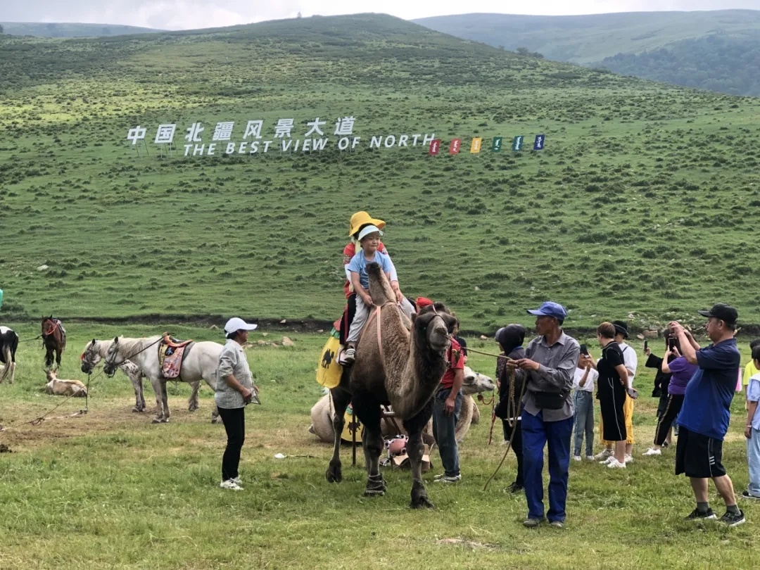 “很黑村”?网红村! “很黑村”?网红村!