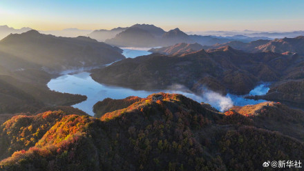 爸妈喜欢的秋日壁纸上新了