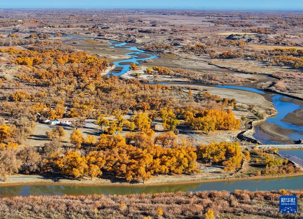 额济纳:金秋胡杨别样美 额济纳:金秋胡杨别样美