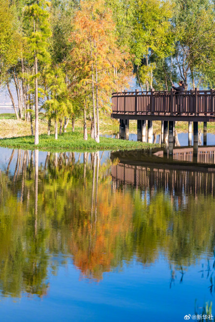 爸妈喜欢的秋日壁纸上新了