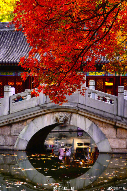 藏在香山红叶里的秋日氛围感