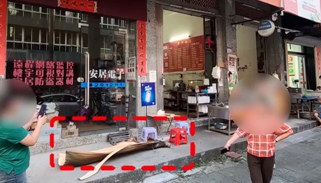 为什么广东人走路都躲着它? 为什么广东人走路都躲着它?