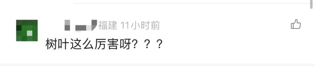 为什么广东人走路都躲着它? 为什么广东人走路都躲着它?