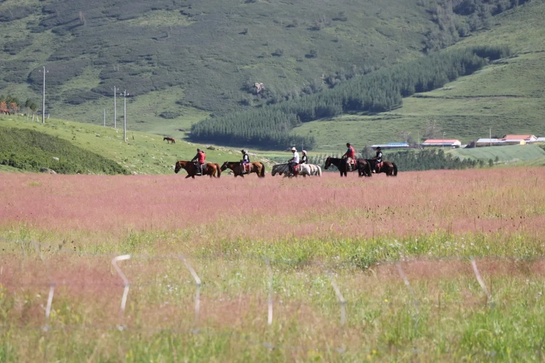 “很黑村”?网红村! “很黑村”?网红村!