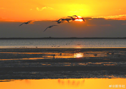 爸妈喜欢的秋日壁纸上新了