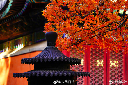 藏在香山红叶里的秋日氛围感