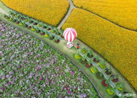 爸妈喜欢的秋日壁纸上新了