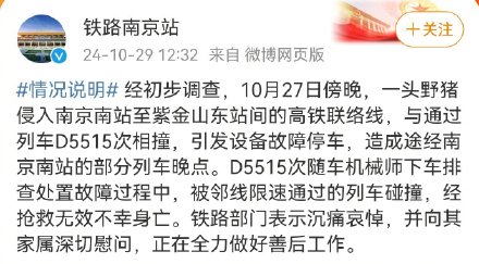 野猪侵入高铁联络线 机械师排障不幸被撞 野猪侵入高铁联络线 机械师排障不幸被撞