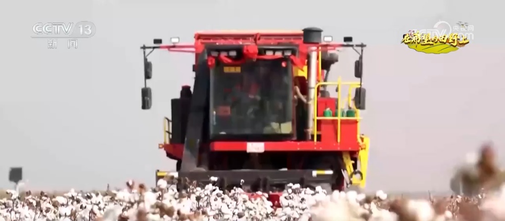 “智”绘“丰”景 穰穰满家 科技赋能为希望的田野绘就稻香金秋 “智”绘“丰”景 穰穰满家 科技赋能为希望的田野绘就稻香金秋