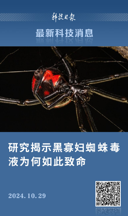研究揭示黑寡妇蜘蛛毒液为何如此致命