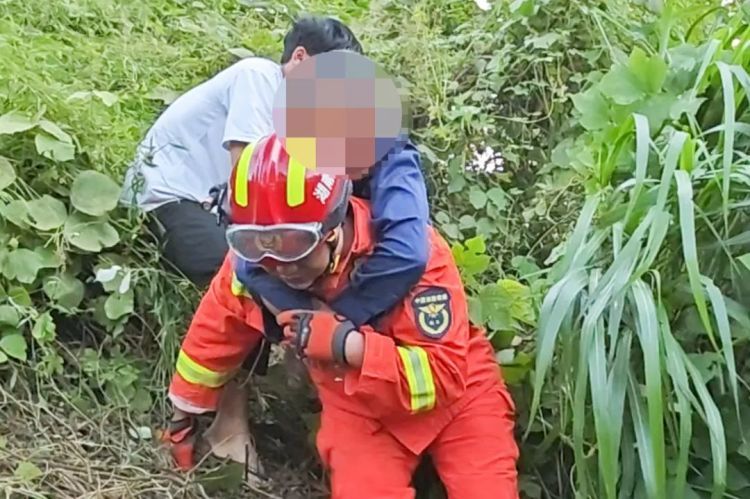 湖南一男子被800斤疯牛一路撞下山，民警出手了……