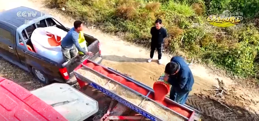 “智”绘“丰”景 穰穰满家 科技赋能为希望的田野绘就稻香金秋 “智”绘“丰”景 穰穰满家 科技赋能为希望的田野绘就稻香金秋