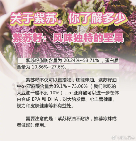 改善便秘、补钙、护眼……紫苏居然有这么多功效