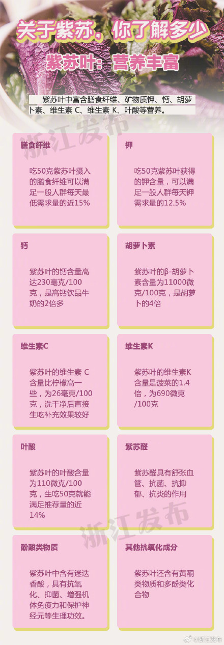 改善便秘、补钙、护眼……紫苏居然有这么多功效