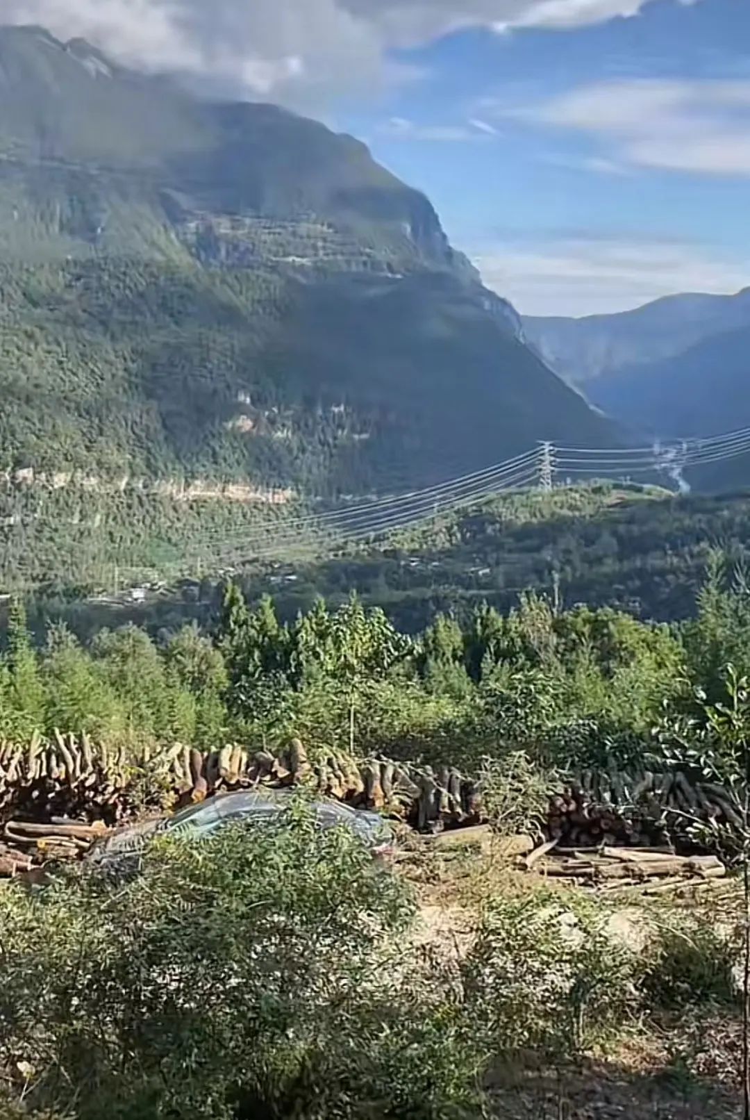 山上都是化石？四川绵阳一男子称上山根本捡不完，当地多部门回应