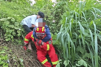 郴州800斤疯牛跑出后顶着屠宰工人一路上山又撞下山,已被击毙 郴州800斤疯牛跑出后顶着屠宰工人一路上山又撞下山,已被击毙