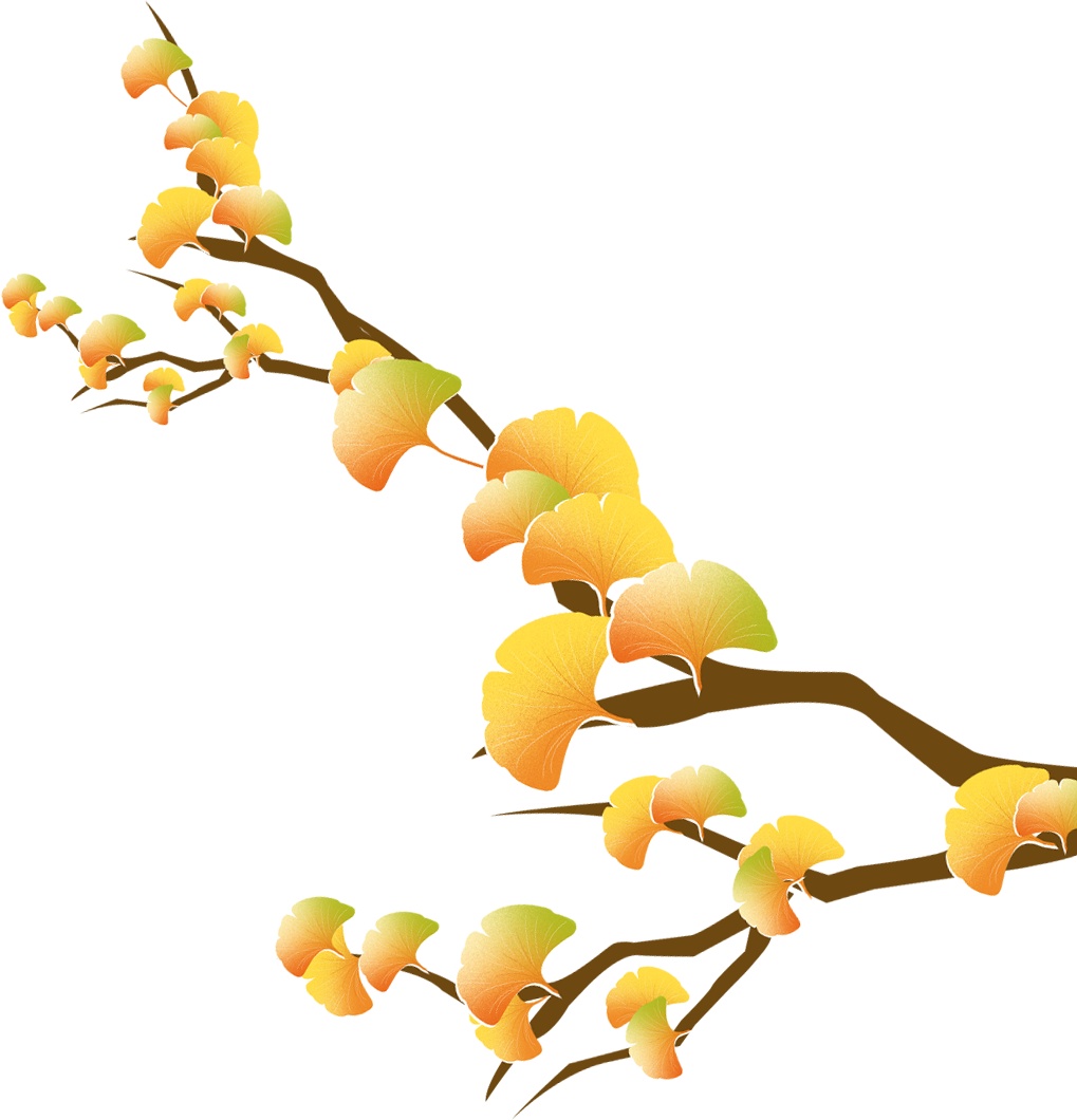 秋冬季安全行车注意事项！