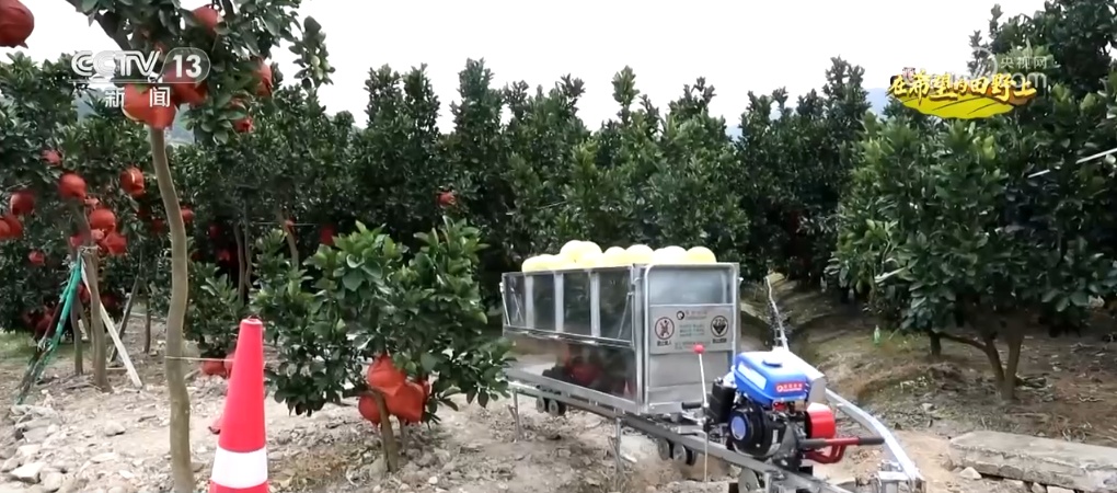 “智”绘“丰”景 穰穰满家 科技赋能为希望的田野绘就稻香金秋 “智”绘“丰”景 穰穰满家 科技赋能为希望的田野绘就稻香金秋