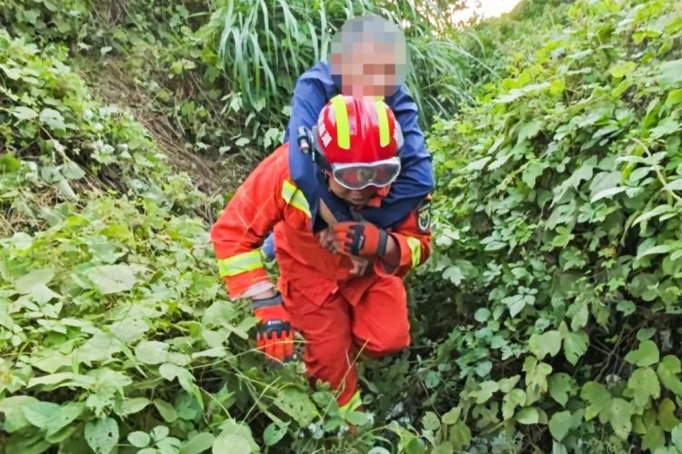 湖南一男子被800斤疯牛一路撞下山，民警出手了……