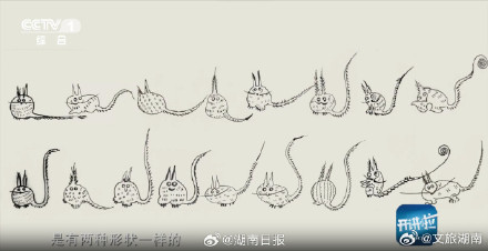 辛追夫人或是最早的贵妇“铲屎官”