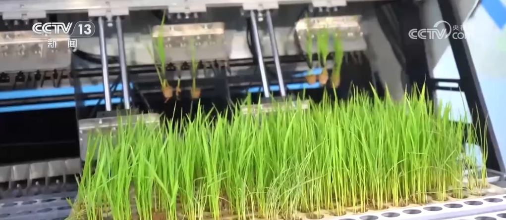 198个项目签约 合同签约额超230亿元 第31届农高会成果丰硕、亮点频出