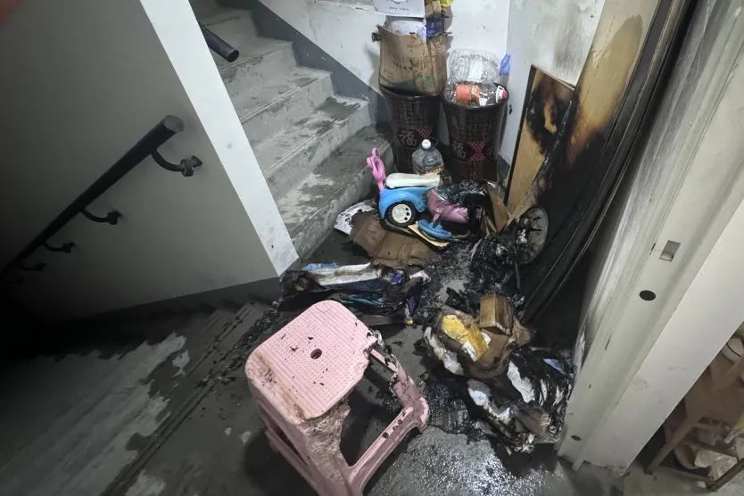 这个小学生“敢想敢干 ”，结果……