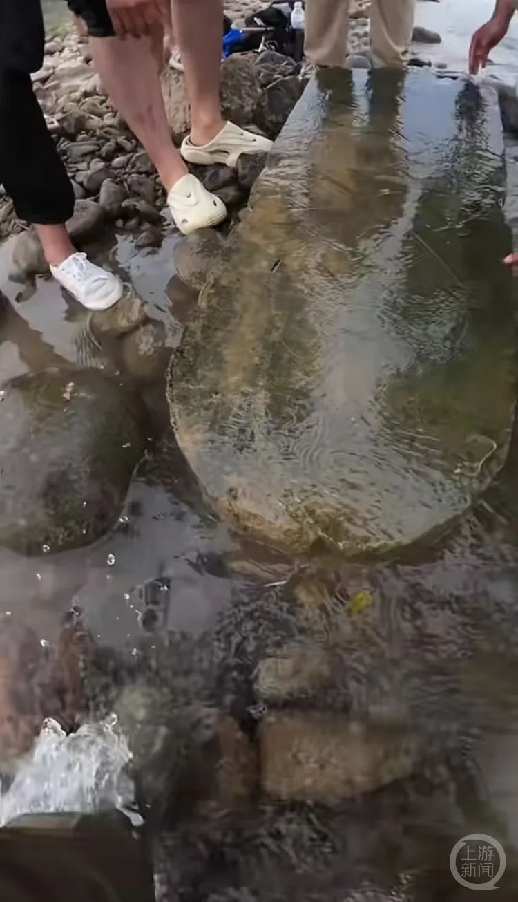 “当时就无心钓鱼了!”河南钓友在洛阳附近“钓”到古碑?文保部门回应 “当时就无心钓鱼了!”河南钓友在洛阳附近“钓”到古碑?文保部门回应