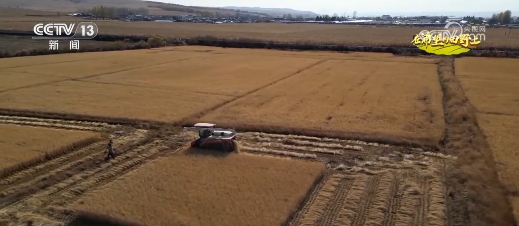 “智”绘“丰”景 穰穰满家 科技赋能为希望的田野绘就稻香金秋 “智”绘“丰”景 穰穰满家 科技赋能为希望的田野绘就稻香金秋