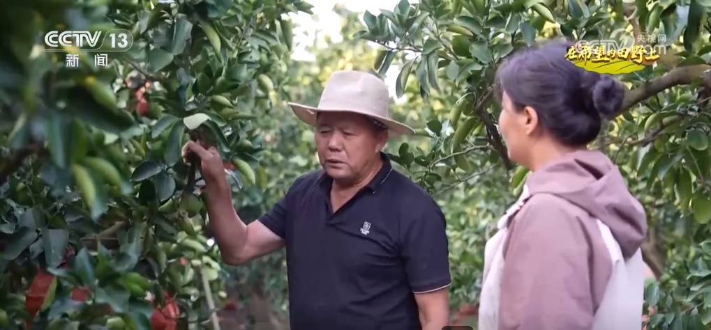 “智”绘“丰”景 穰穰满家 科技赋能为希望的田野绘就稻香金秋 “智”绘“丰”景 穰穰满家 科技赋能为希望的田野绘就稻香金秋