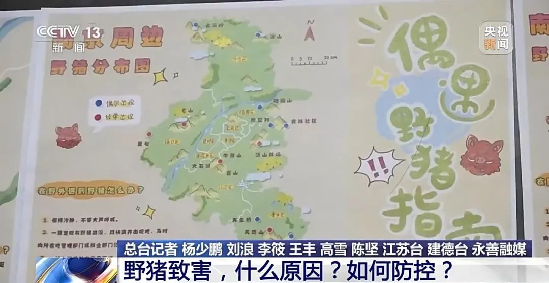 撞列车、闯店铺、狂飙伤人……野猪为何“泛滥成灾”? 撞列车、闯店铺、狂飙伤人……野猪为何“泛滥成灾”?