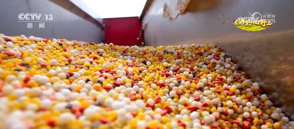 “智”绘“丰”景 穰穰满家 科技赋能为希望的田野绘就稻香金秋 “智”绘“丰”景 穰穰满家 科技赋能为希望的田野绘就稻香金秋