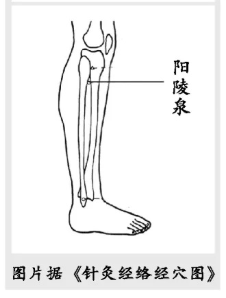 天冷这样护膝！“1个穴位+2款食疗方”舒筋健膝