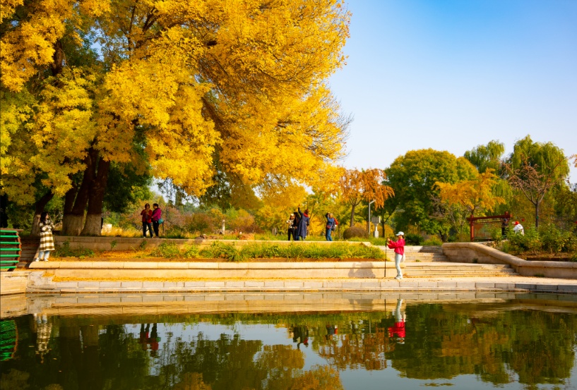 快来解锁宝藏秋景!石家庄这里秋光正好 快来解锁宝藏秋景!石家庄这里秋光正好