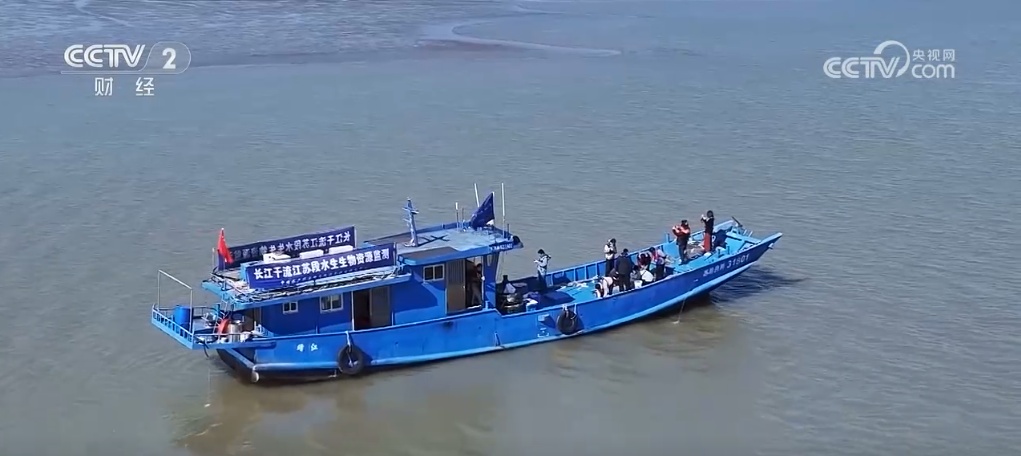 虾蹦鱼跳蟹子俏 长江靖江段水生生态修复工作“查作业” 虾蹦鱼跳蟹子俏 长江靖江段水生生态修复工作“查作业”