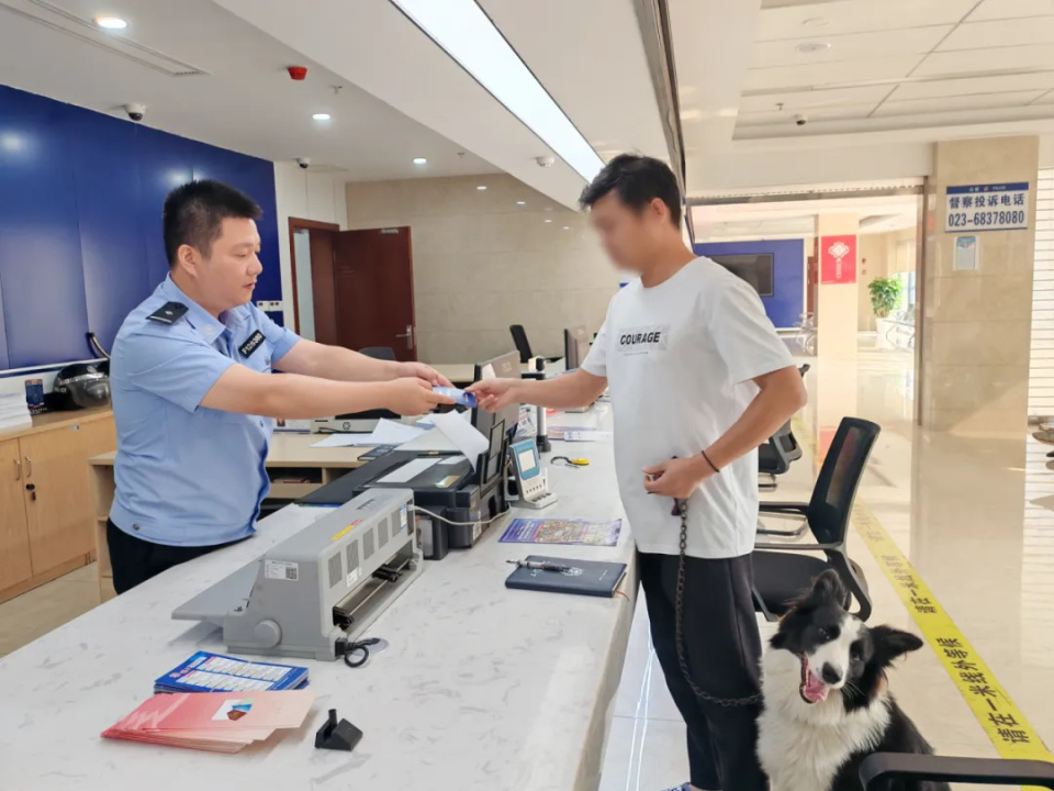 边牧走丢竟独自到派出所“报警”还留宿一晚，主人很惊喜