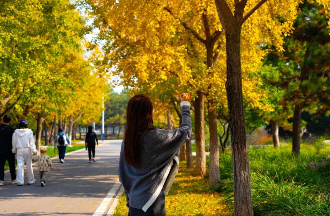 快来解锁宝藏秋景!石家庄这里秋光正好 快来解锁宝藏秋景!石家庄这里秋光正好