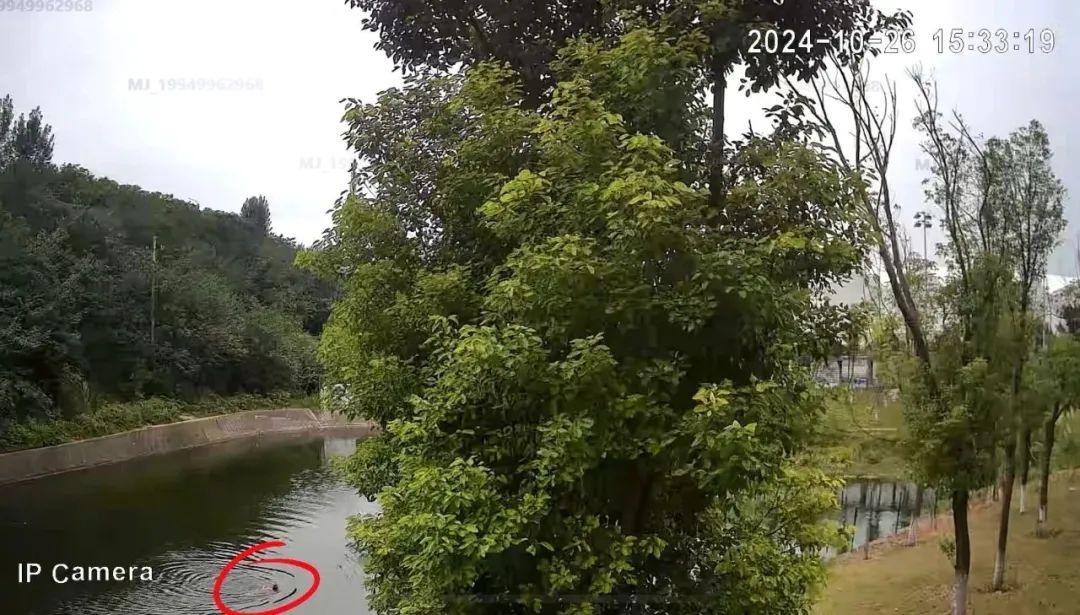 他牺牲了，年仅25岁